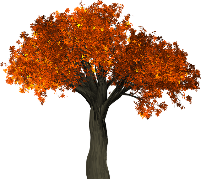 tree