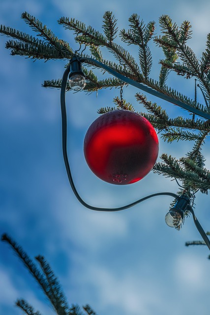 tree