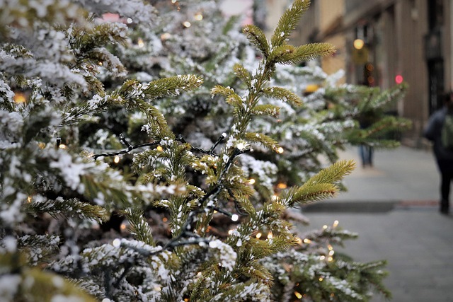 tree