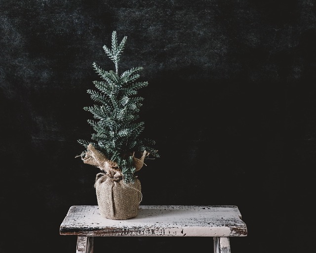 tree
