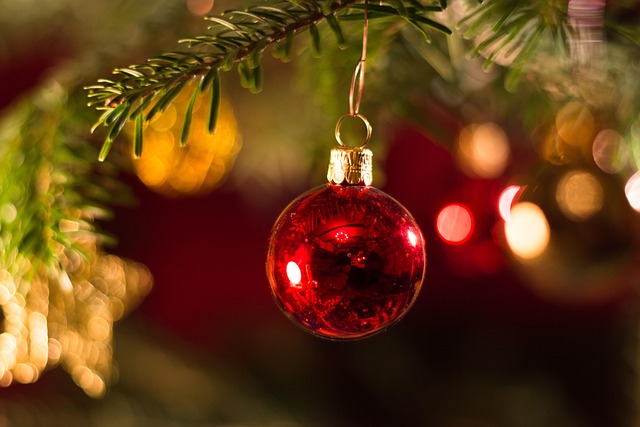 tree-640x480-5663232.jpeg