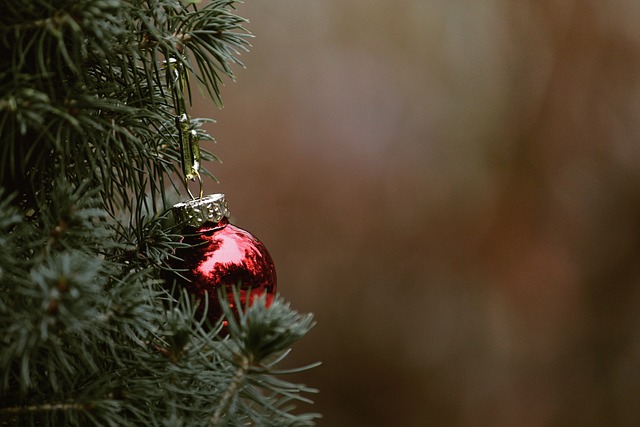 tree-640x480-62876619.jpeg