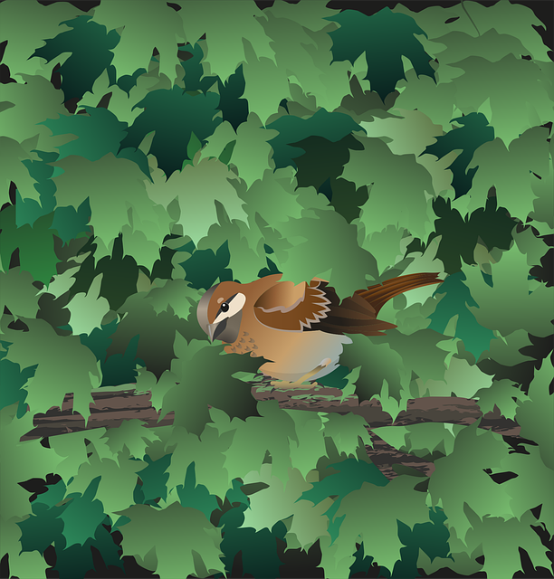 tree