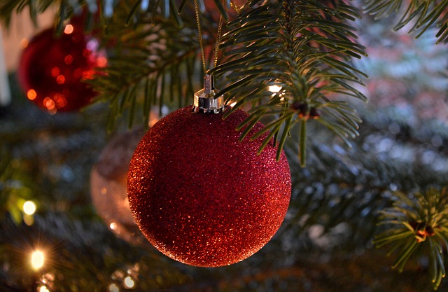 tree-640x480-77847552.jpeg