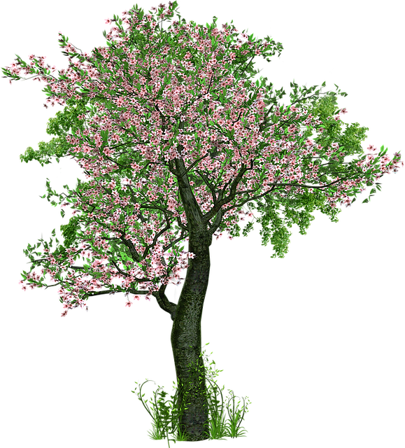 tree-640x480-80300371.png