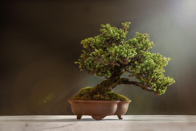 tree