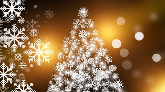 tree-640x480-97064515.jpeg