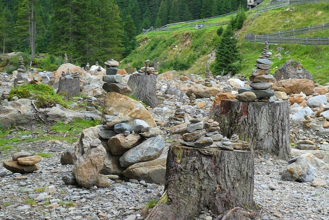 tree stump