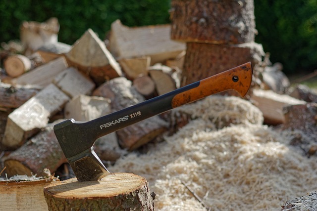 tree stump