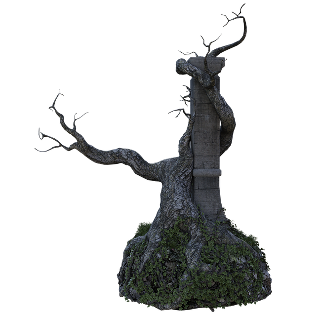 tree stump