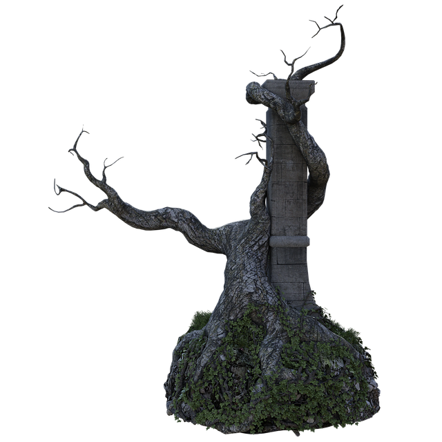 tree-stump-640x480-32669362.png