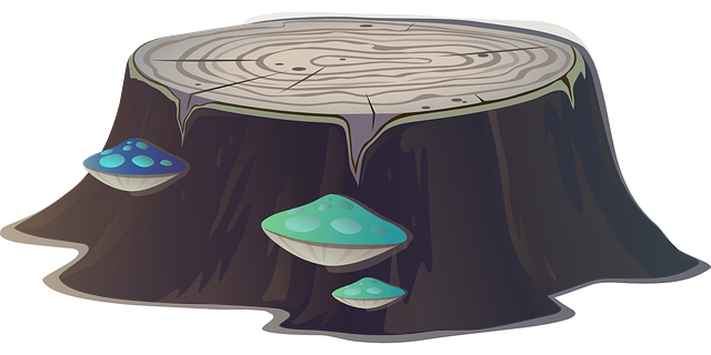 tree stump