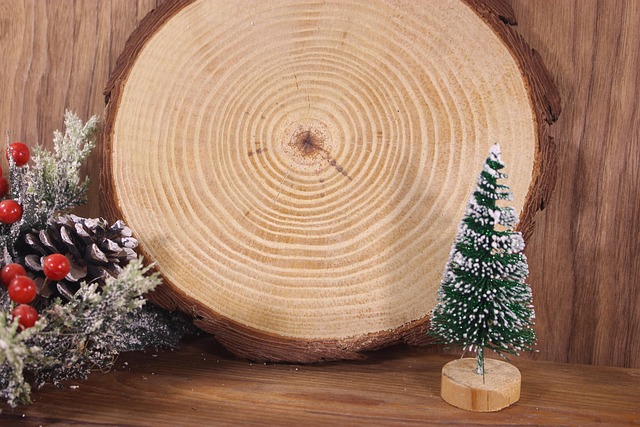 tree stump