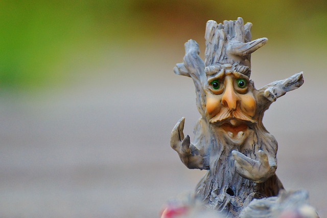 tree-stump-640x480-49889353.jpeg