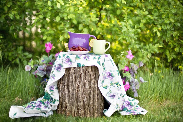 tree-stump-640x480-59639898.jpeg
