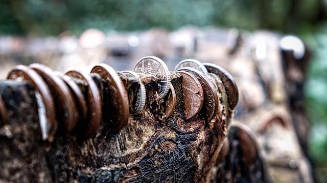 tree-stump-640x480-65005212.jpeg