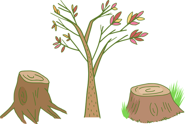 tree stump