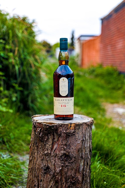 tree stump