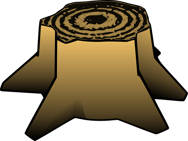 tree stump