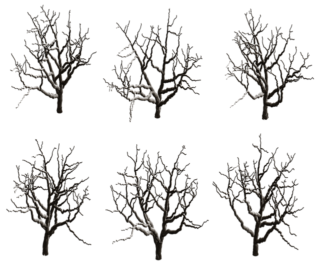 trees