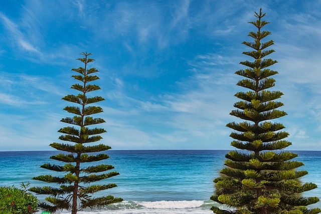 trees
