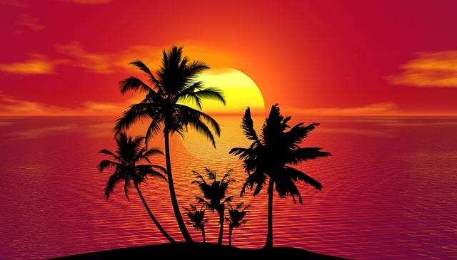 trees-640x480-17814612.jpeg