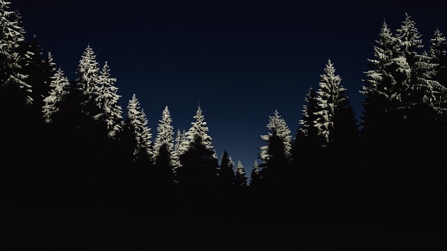 trees