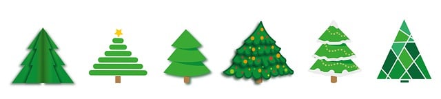 Personalized Tree Care: Your Local Expert in Allen, TX