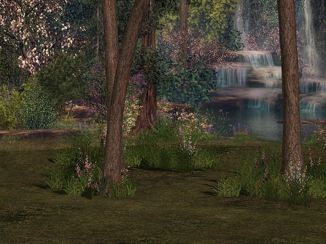 trees-640x480-26886976.png
