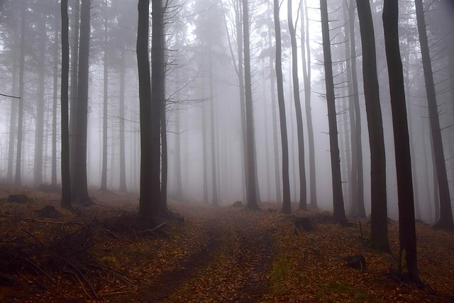 trees