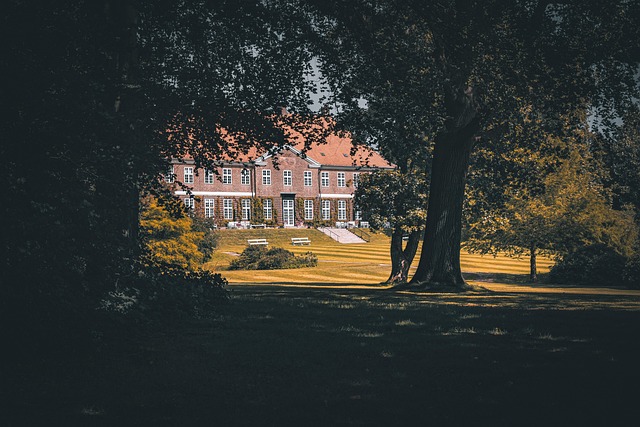 trees-640x480-27835181.jpeg