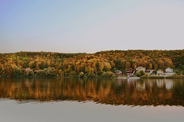 trees-640x480-28269120.jpeg