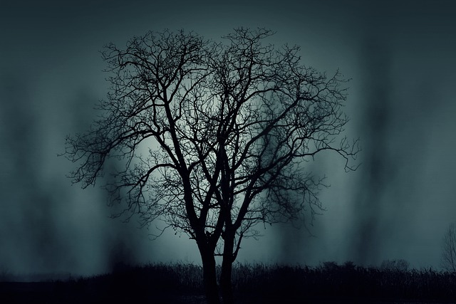 trees