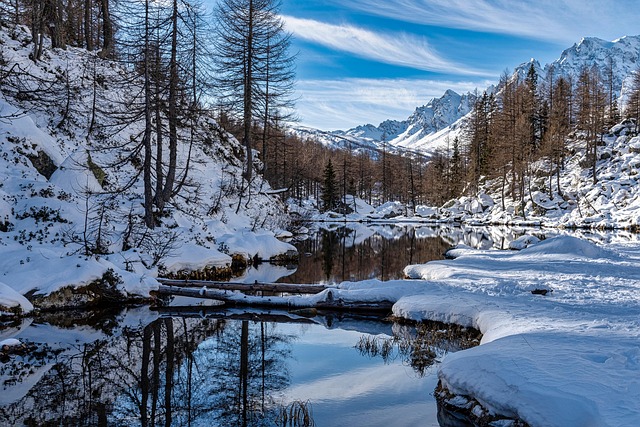 trees-640x480-33341127.jpeg