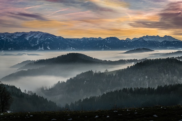 trees-640x480-39504328.jpeg