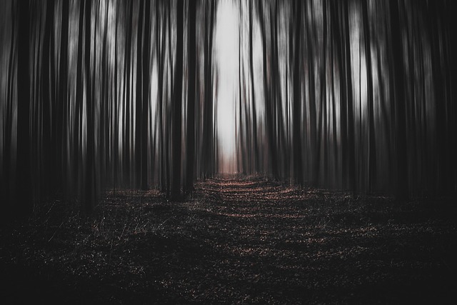 trees