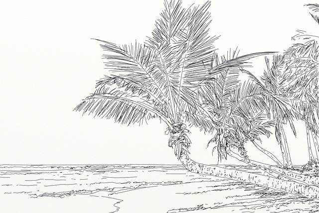 trees