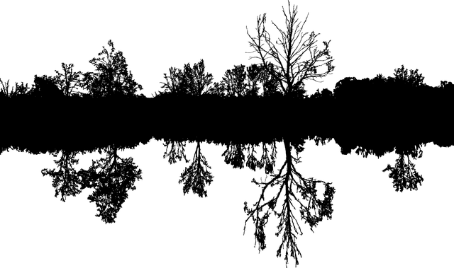 trees-640x480-50111594.png