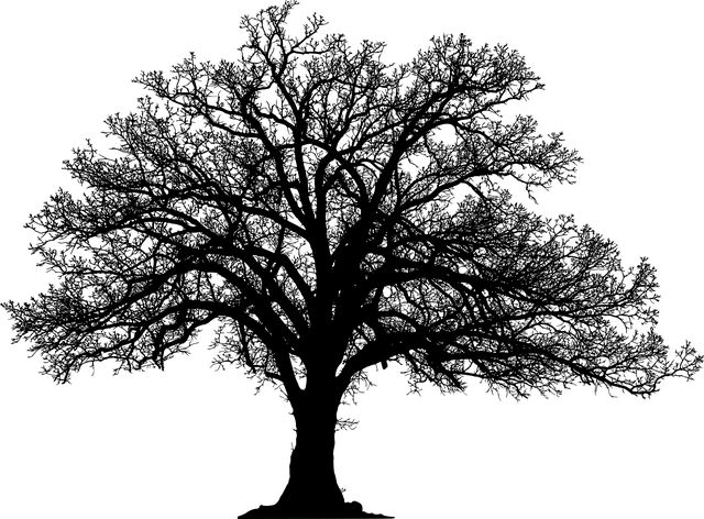 trees-640x480-51289025.png