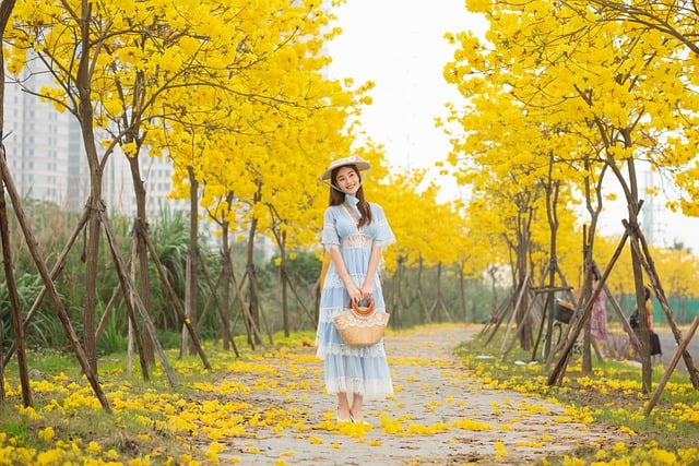 trees-640x480-53357923.jpeg