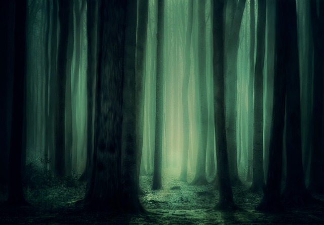 trees