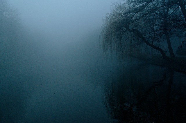 trees