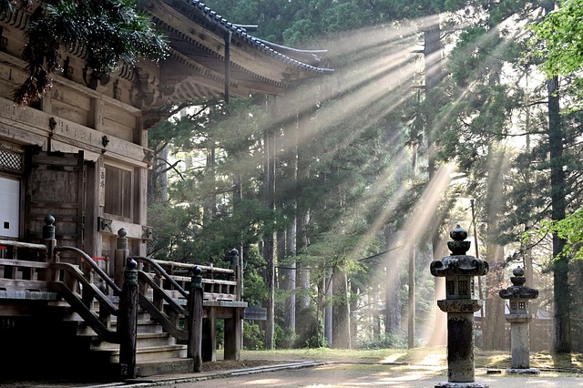 trees-640x480-68664511.jpeg