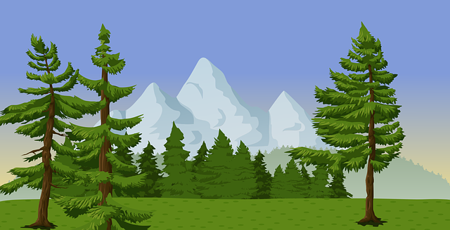 trees-640x480-6927704.png