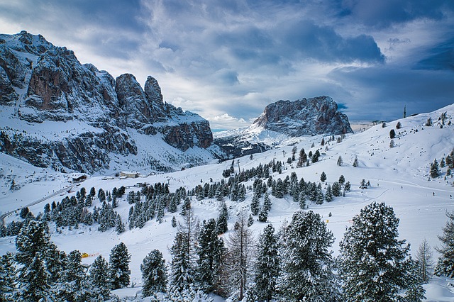 trees-640x480-69797299.jpeg