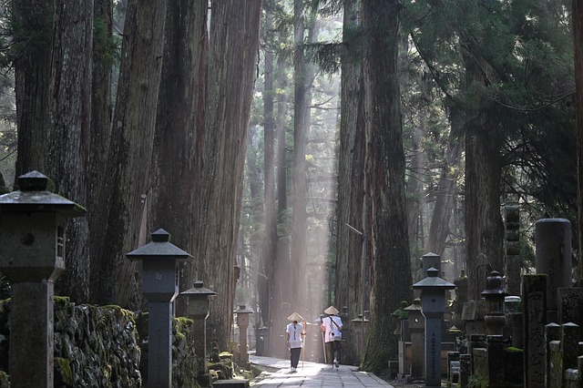trees-640x480-74569245.jpeg