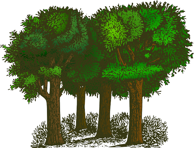 trees