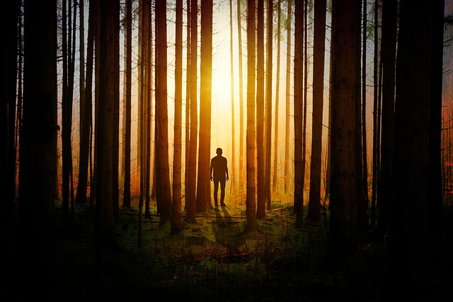 trees