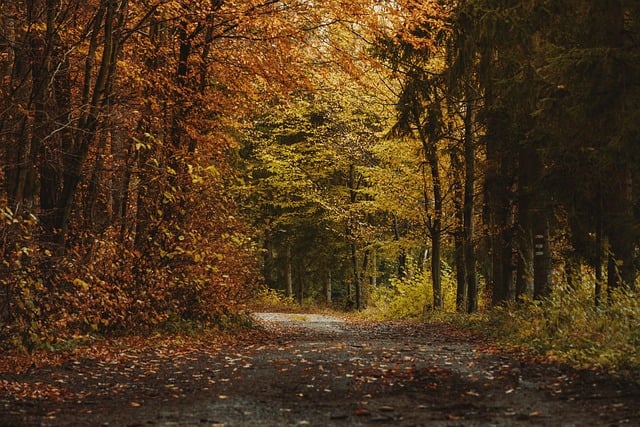 trees