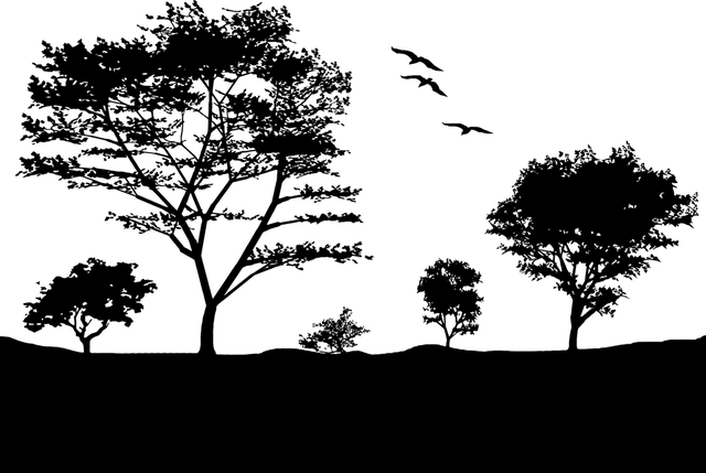 trees-640x480-90508951.png